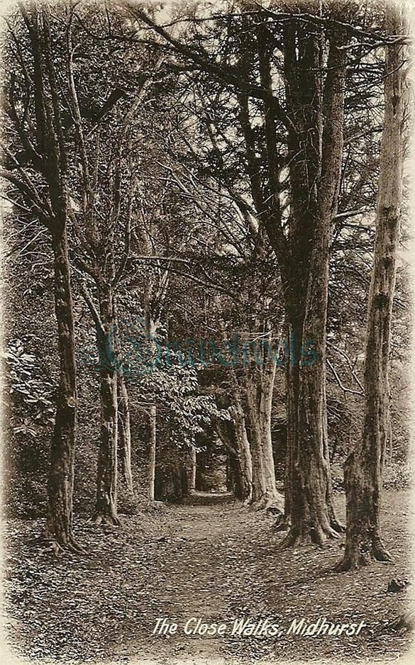  old photos of Close Walks, Midhurst, Sussex - click image below to return