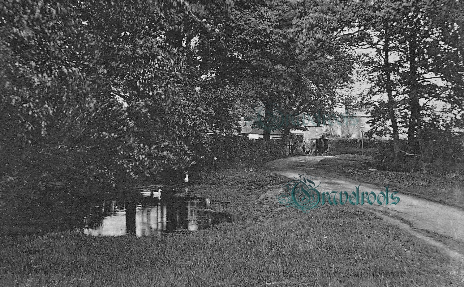 Carron Lane, Midhurst - click image to return