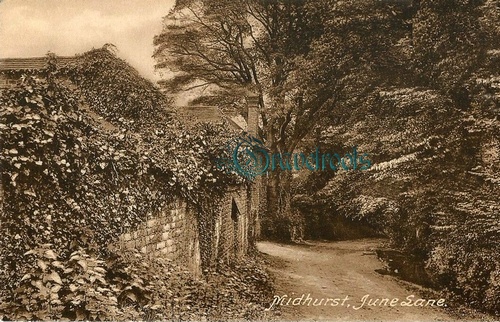 June Lane, Midhurst
