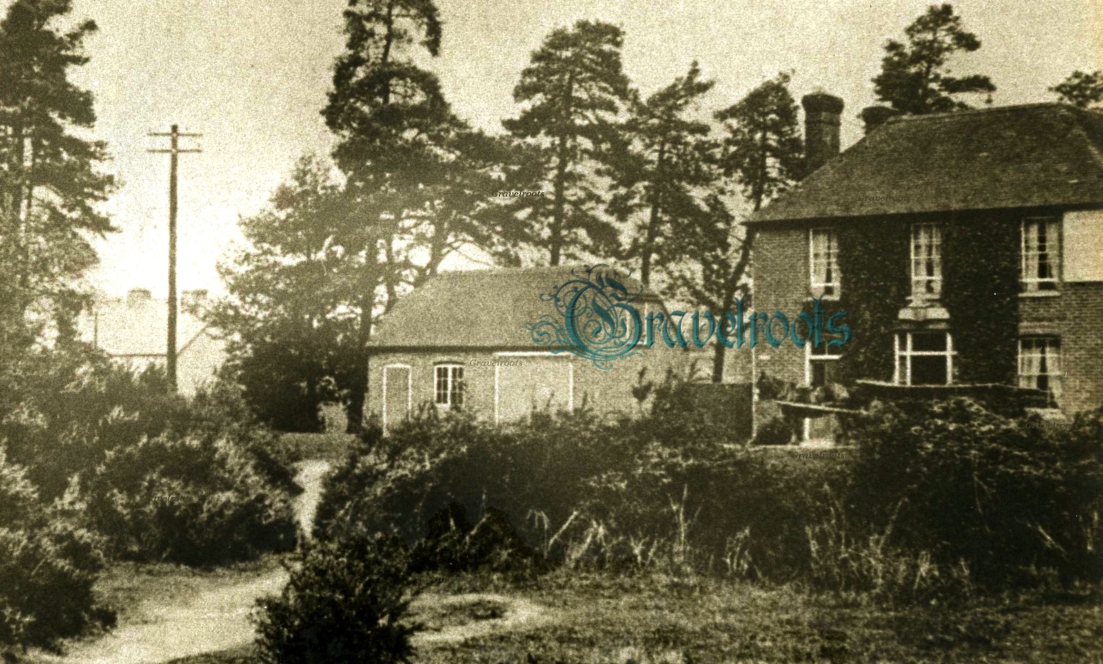 click image to return