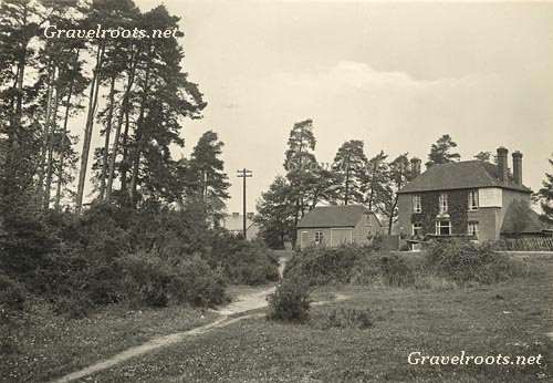 Shamrock Pub, Midhurst