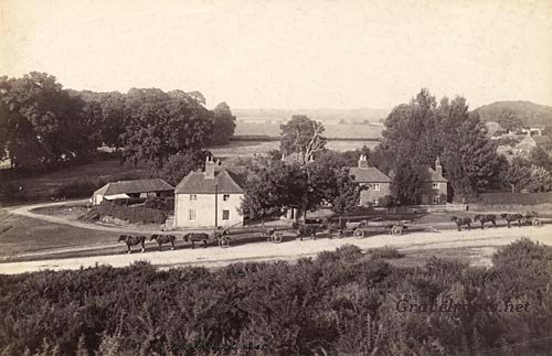 Half Moon 1920