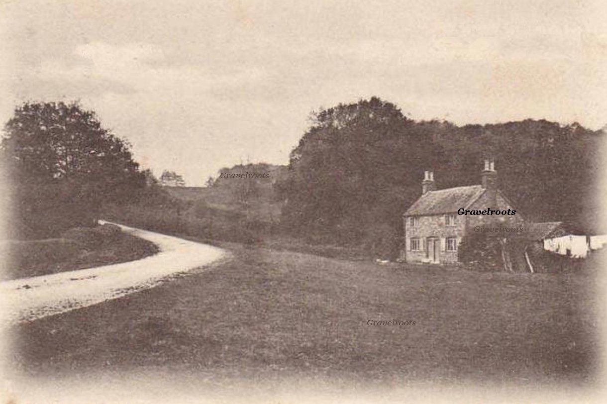 click image to return