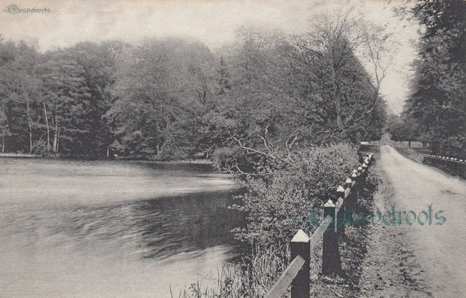  old photo of Shillinglee Park, Fisher Street, Northchapel, Sussex - click image below to return
