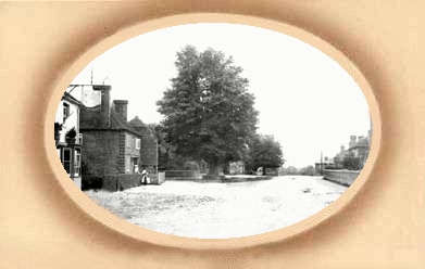 Northchapel looking south