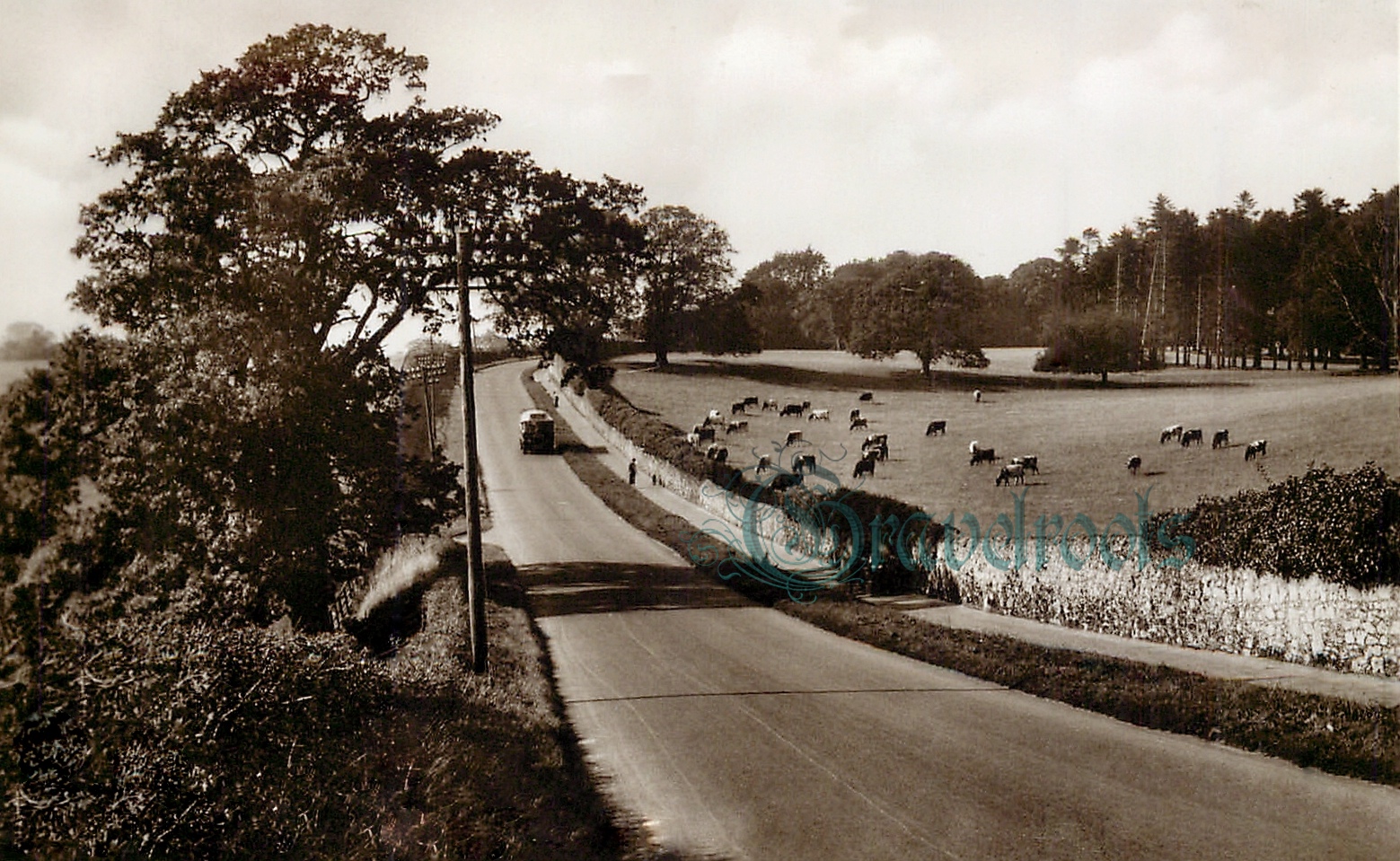  old photos of Tillington Road, Petworth, Sussex - click image below to return
