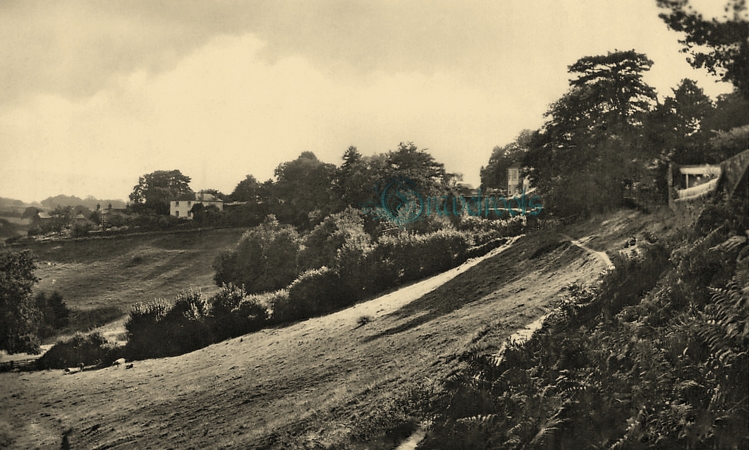  old photos of Petworth, Sussex - click image to return