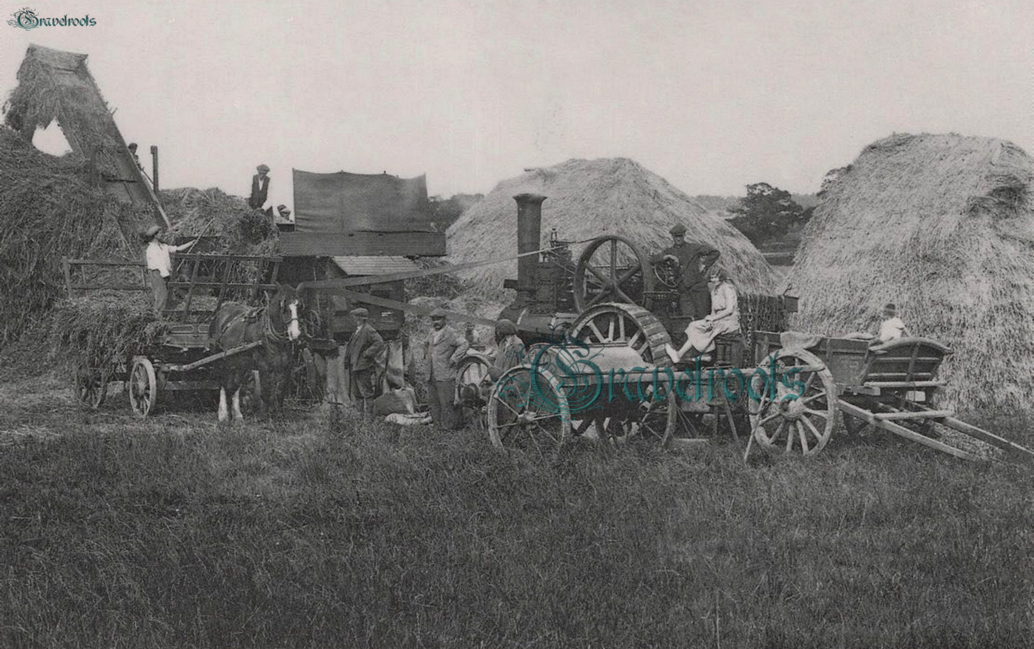  old photos of Threshing near Petworth, Sussex - click image to return