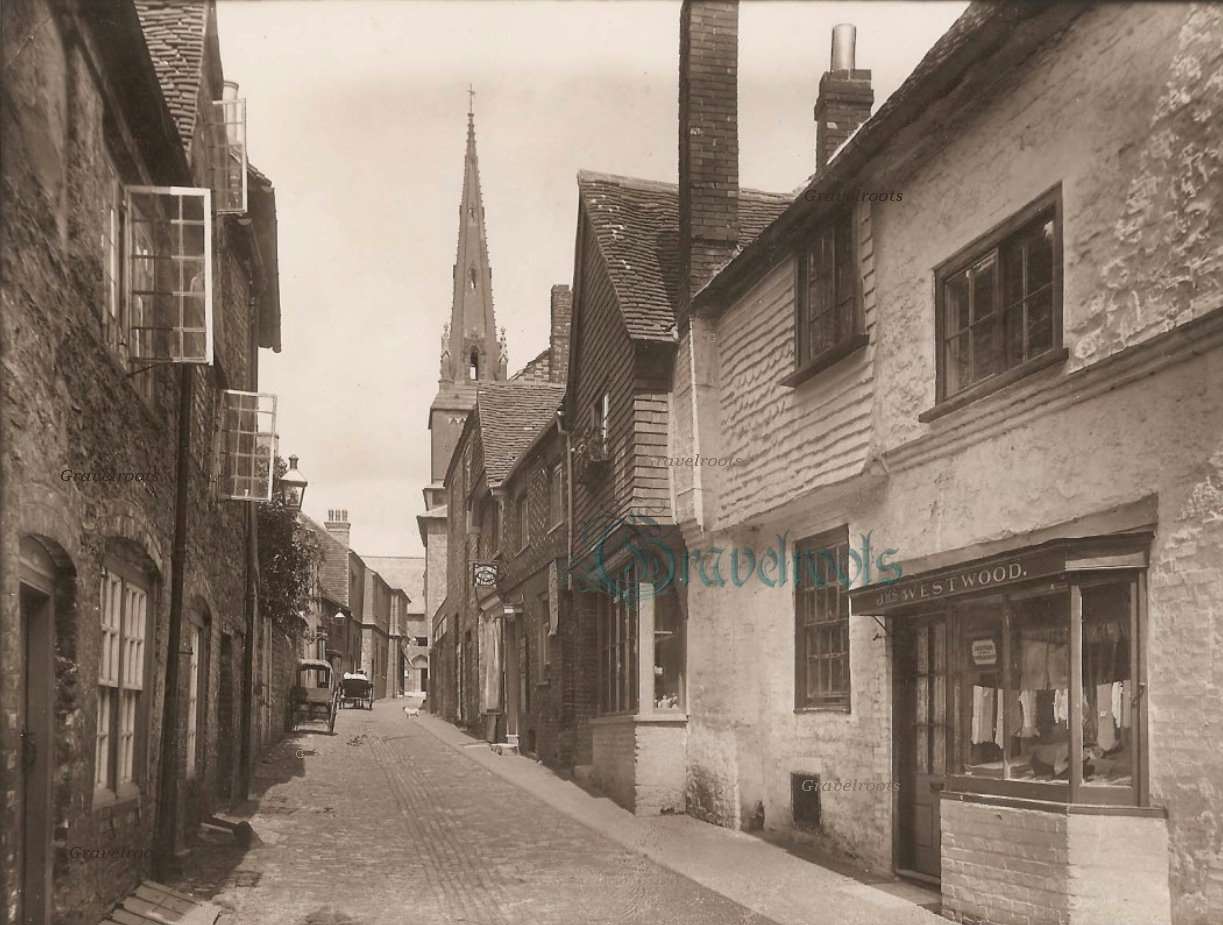 click image to return