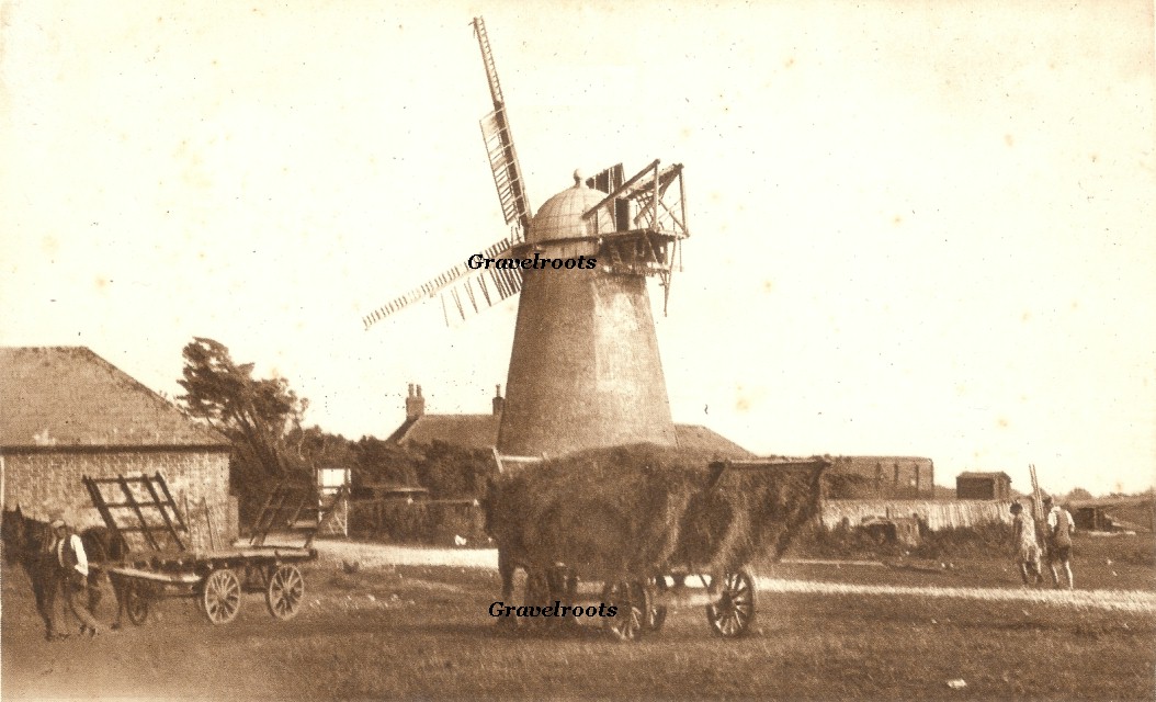 Selsey, click image to return