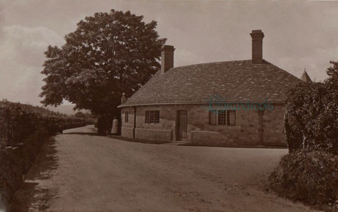 Stedham - Iping - click image to return