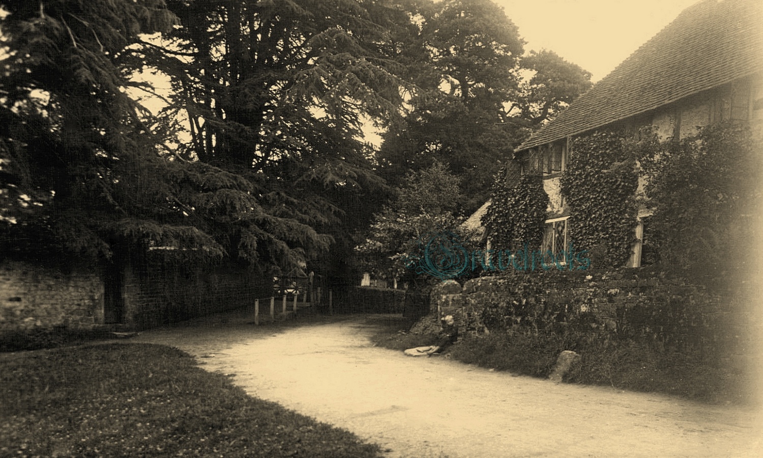  old photo of Mill Lane, Stedham &  Iping, Sussex - click image to return