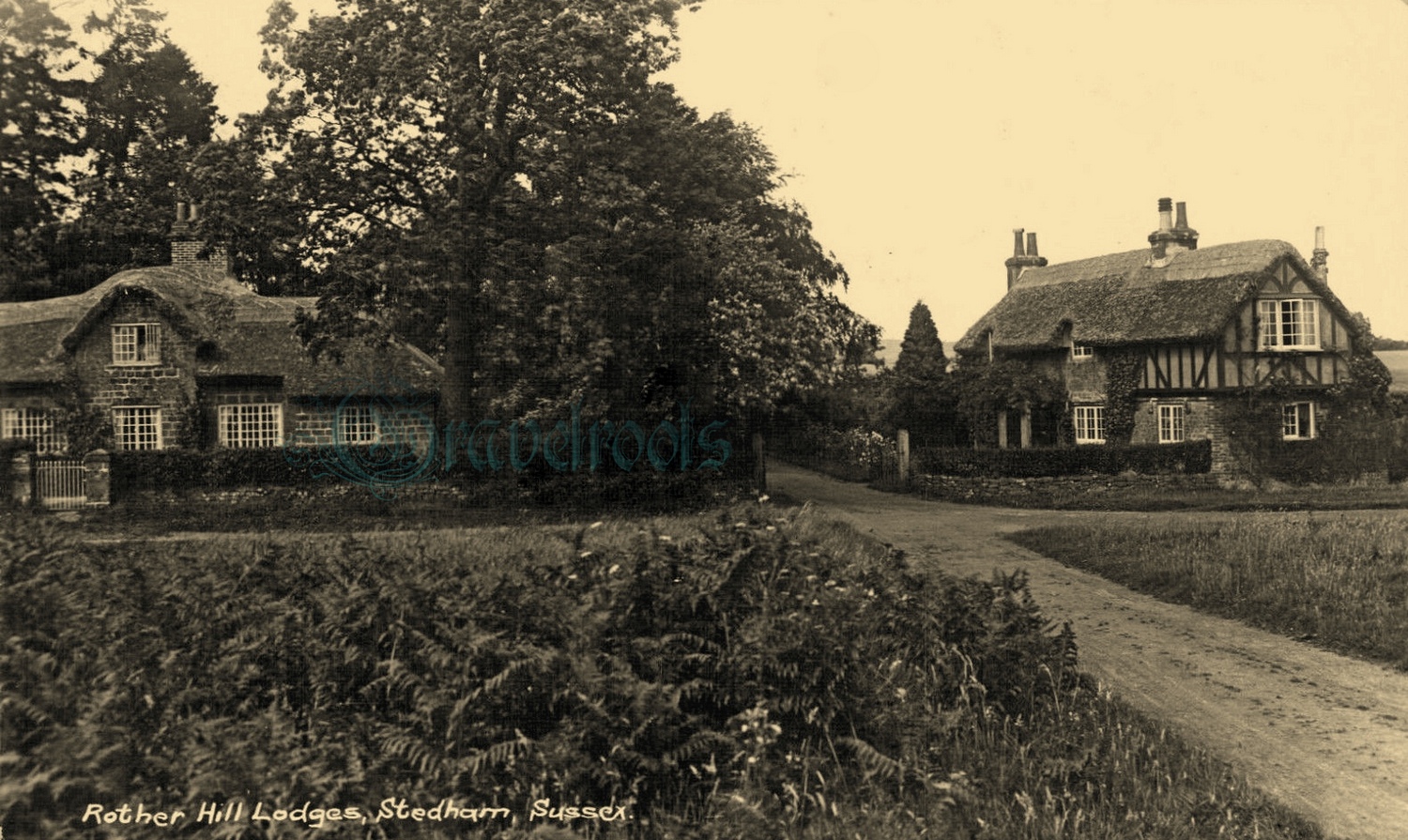 old photo of Rother Hill Lodges, off School Lane, Stedham &  Iping, Sussex - click image below to return