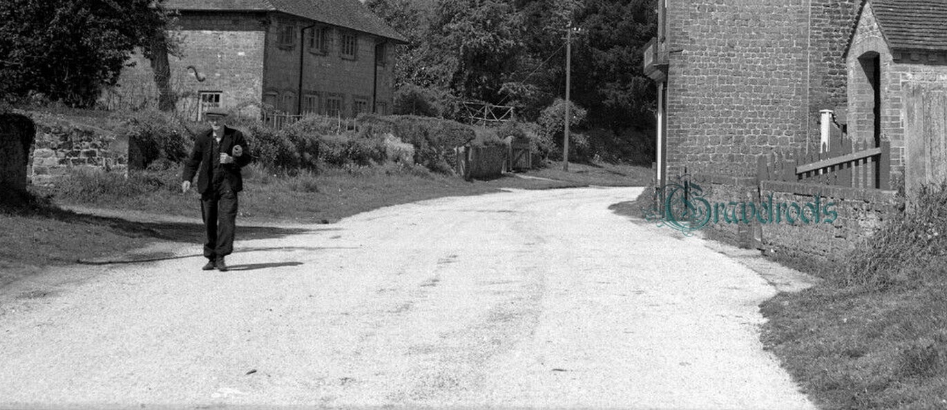 old photo of The Street, Stedham, Sussex - click image to return