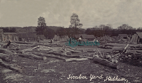 Stedham football team