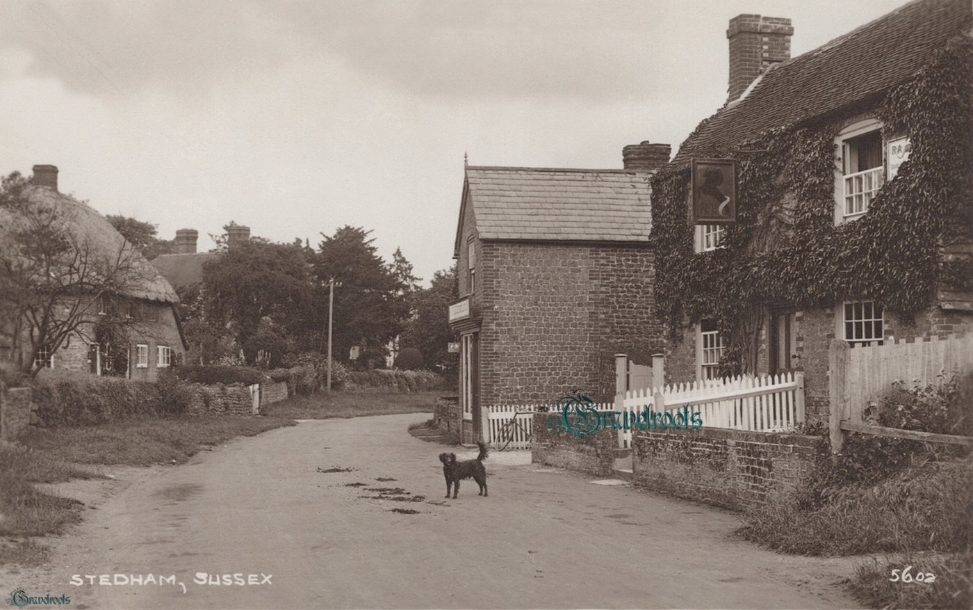  old photo of Gnu Inn, Stedham & Iping, Sussex - click image below to return