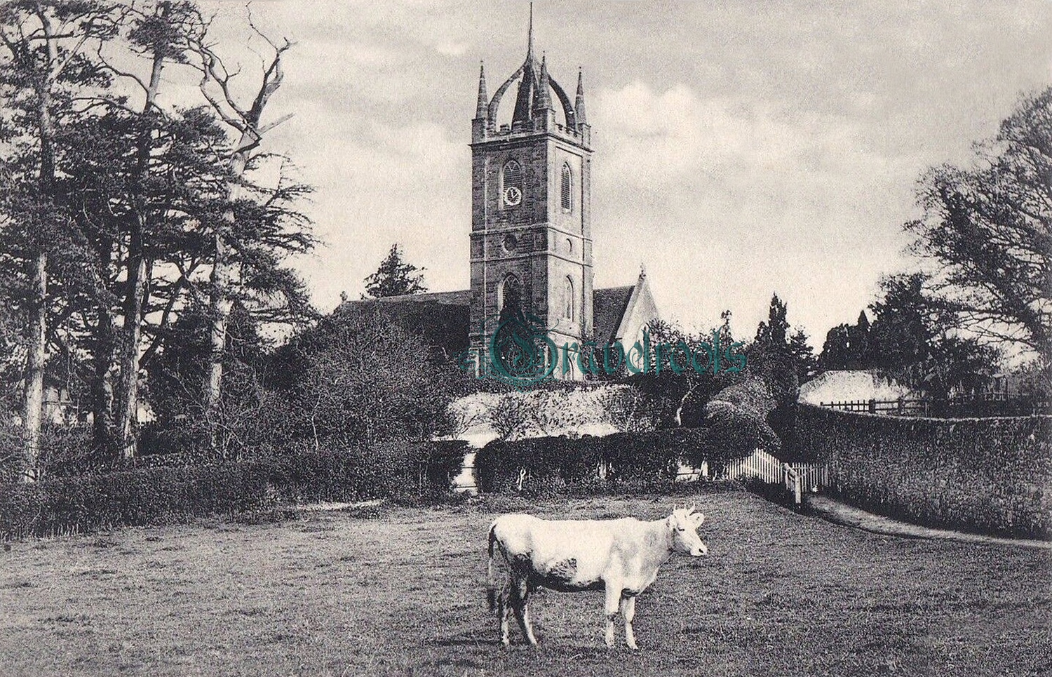 Old photos of Tillington church, Sussex, c.1900-10  - click image to return