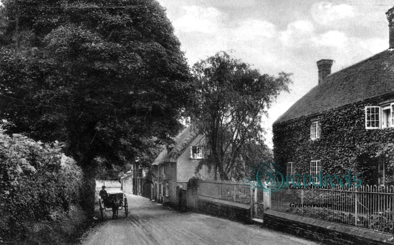 Old photos of Tillington - Petworth Road - click image below to return