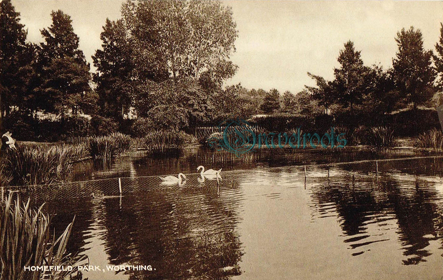  old photos of Homefield Park, Worthing, Sussex - click image to return