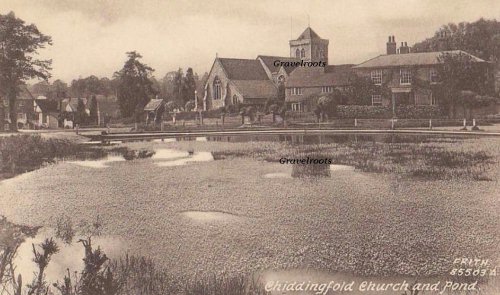 Old Chiddingfold