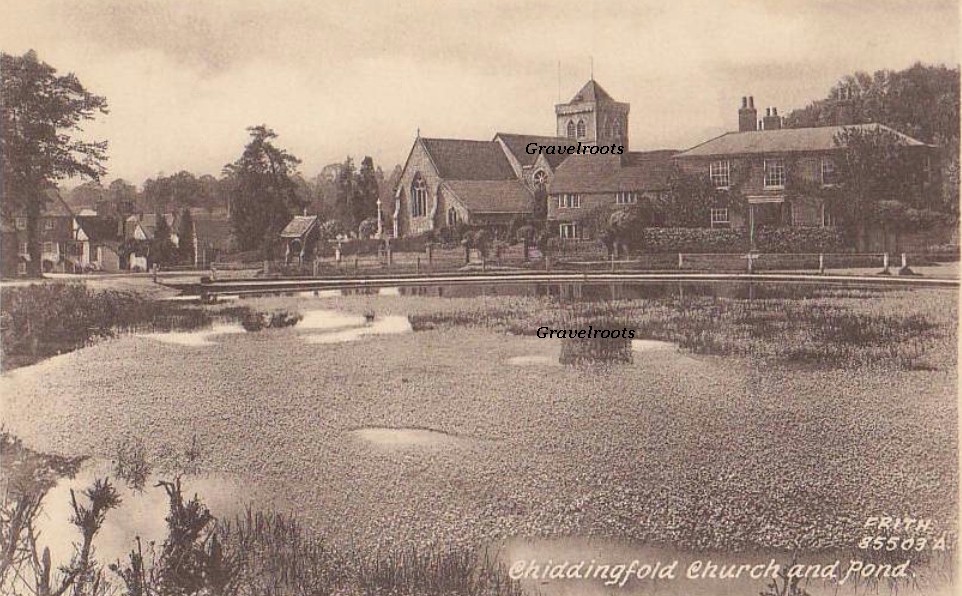 Chiddingfold, Surrey - click to return