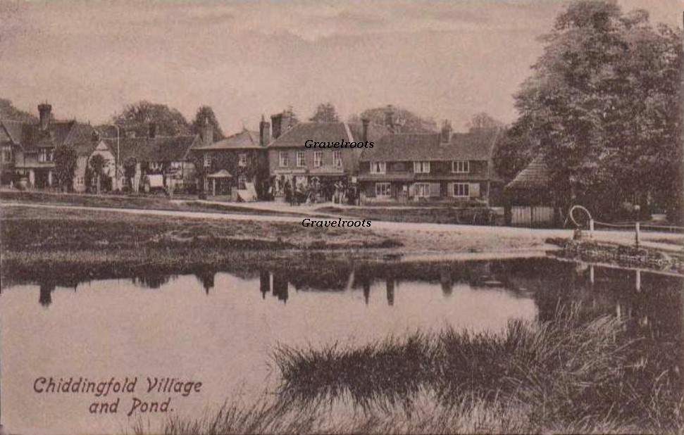 Chiddingfold, Surrey - click to return