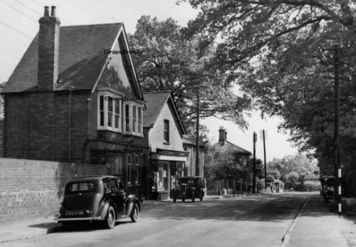 Old Chiddingfold