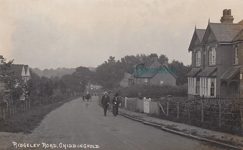 Old Chiddingfold