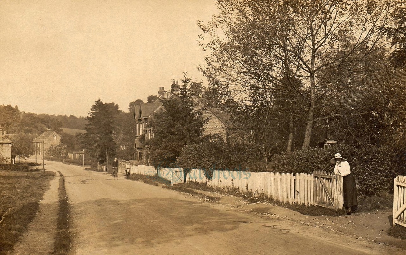  old photos of Chiddingfold, Surrey - click image below to return