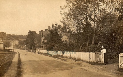 Old Chiddingfold