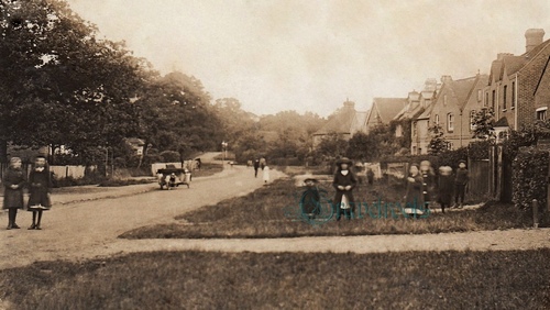 Old Chiddingfold