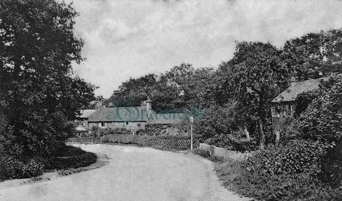 Old Chiddingfold