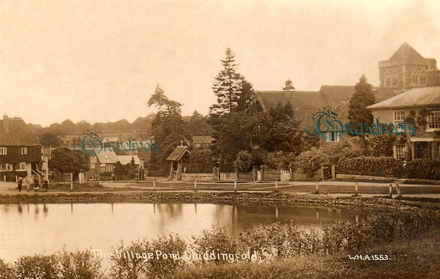 Chiddingfold, Surrey - click image to return to album