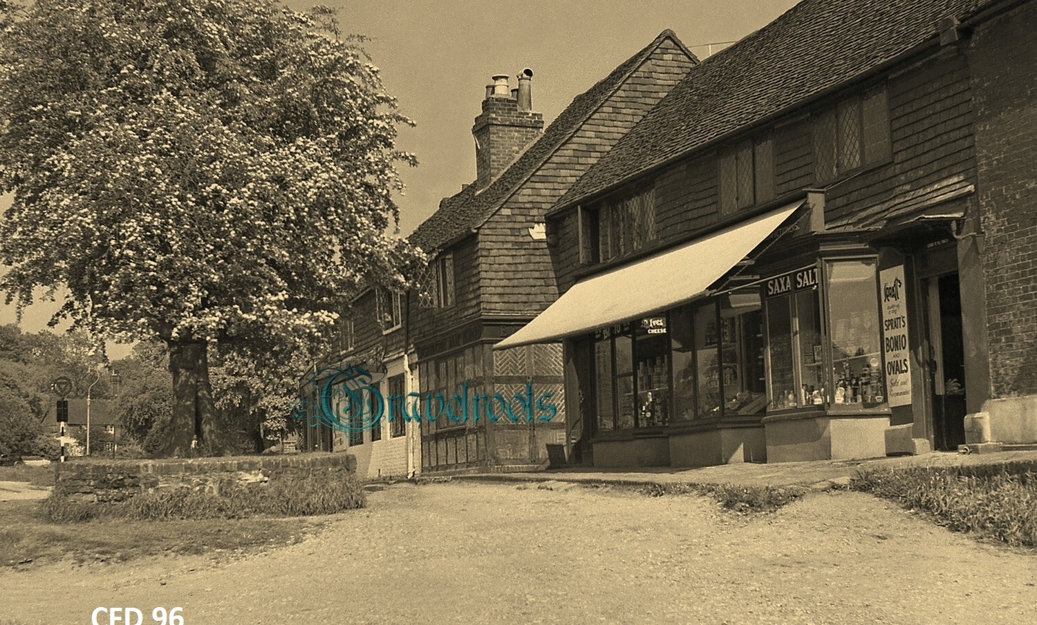 Chiddingfold, Surrey - click image to return to album