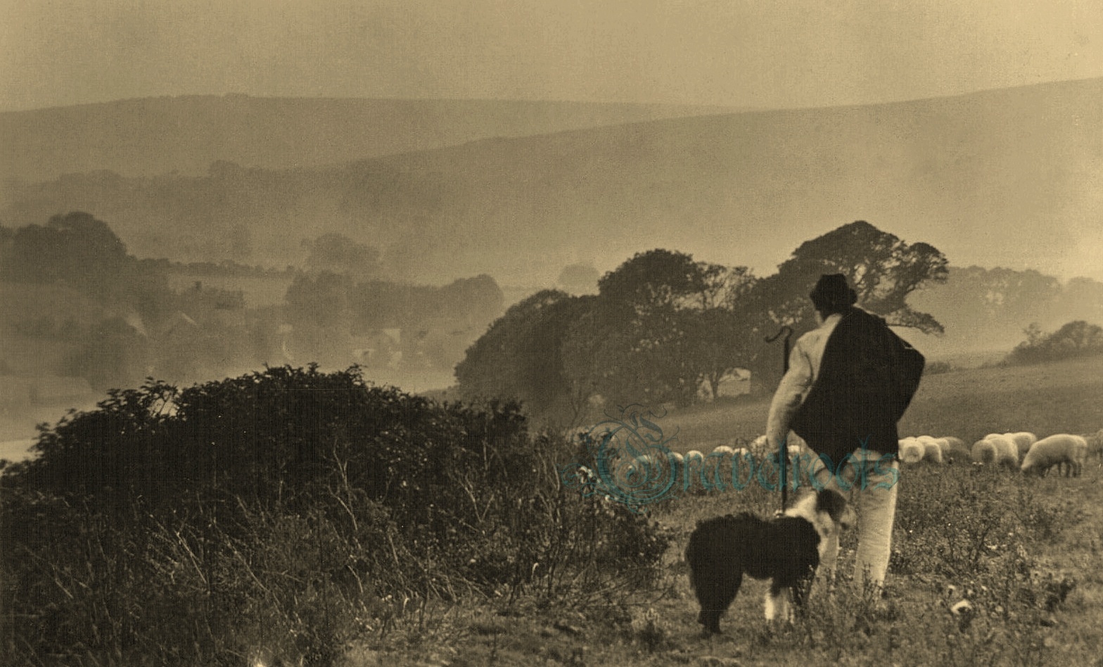  old photos of Shepherd and his flock on the Downs near Alfriston, Sussex - click image to return