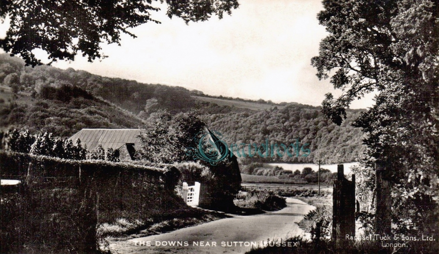 old photos of the Downs near Sutton, Sussex - click image to return