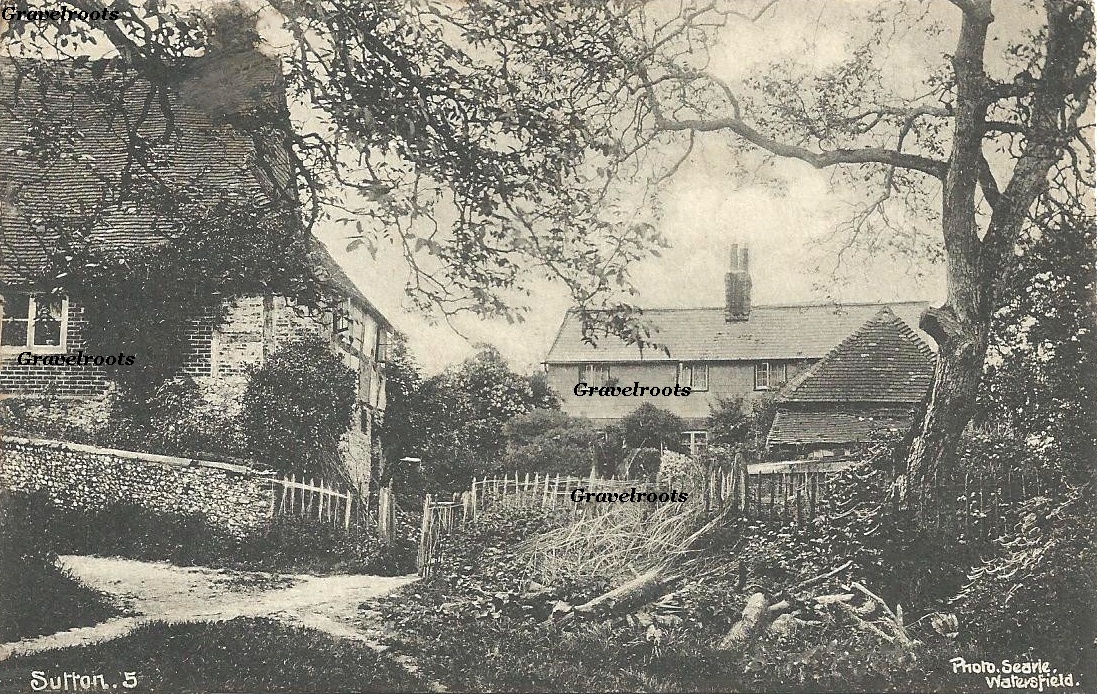 Sutton, click image to return