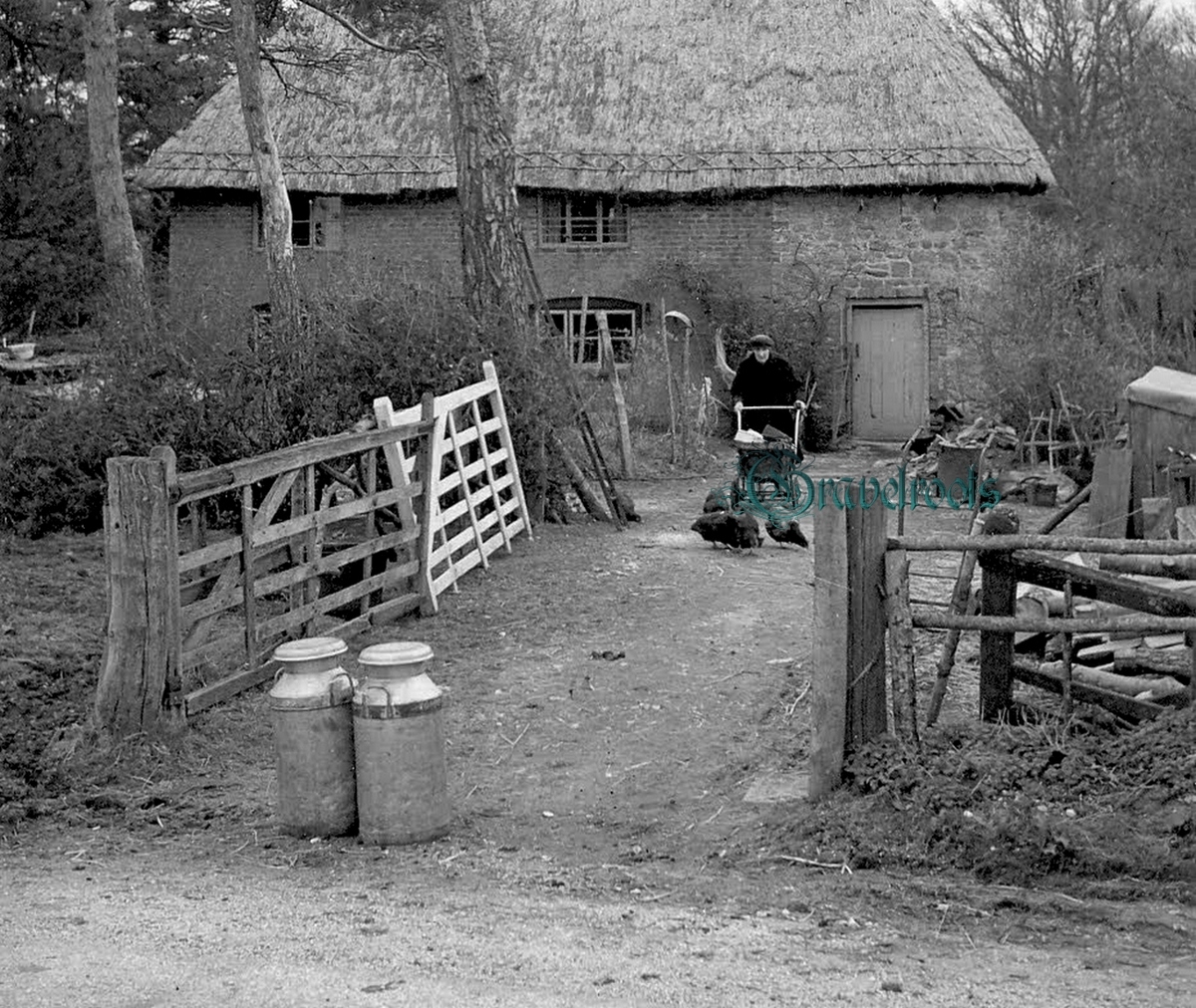 old photos of Sutton, Sussex - click image to return