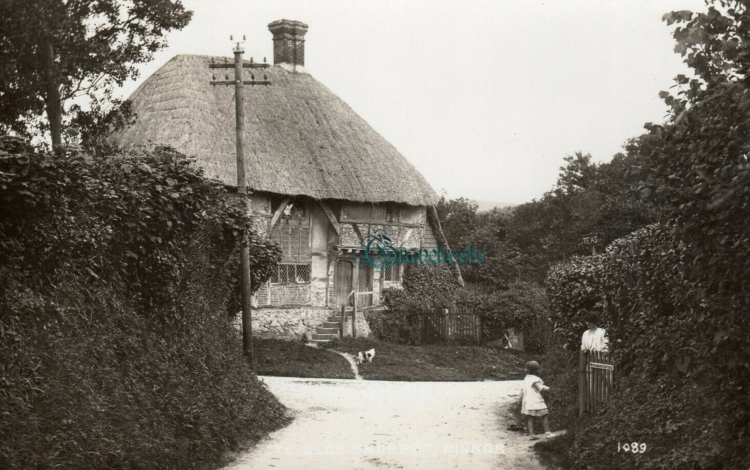  old photo of Fittleworth, Sussex - click image below to return