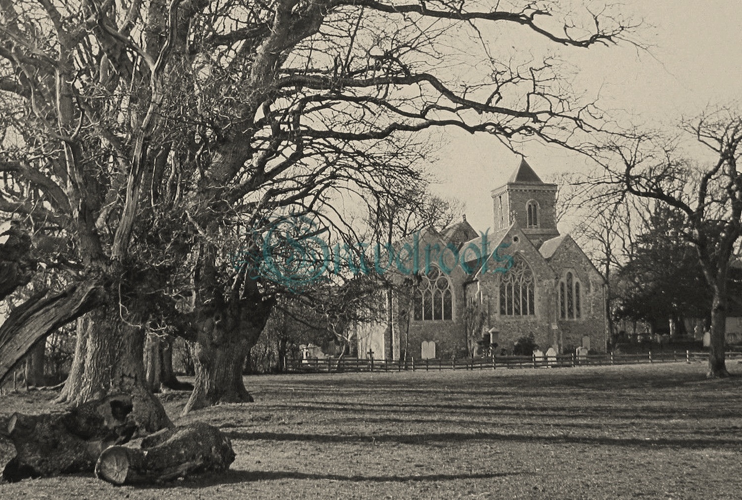 unknown - click to return