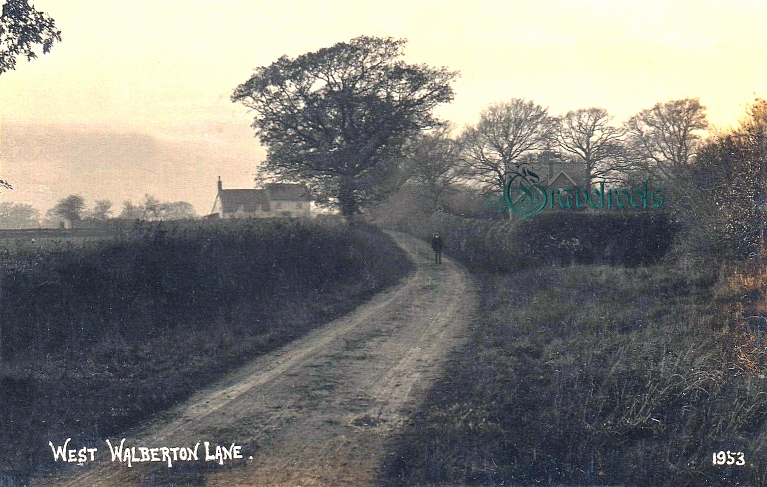 Early Winter, West Walberton Lane, Walberton - click image to return