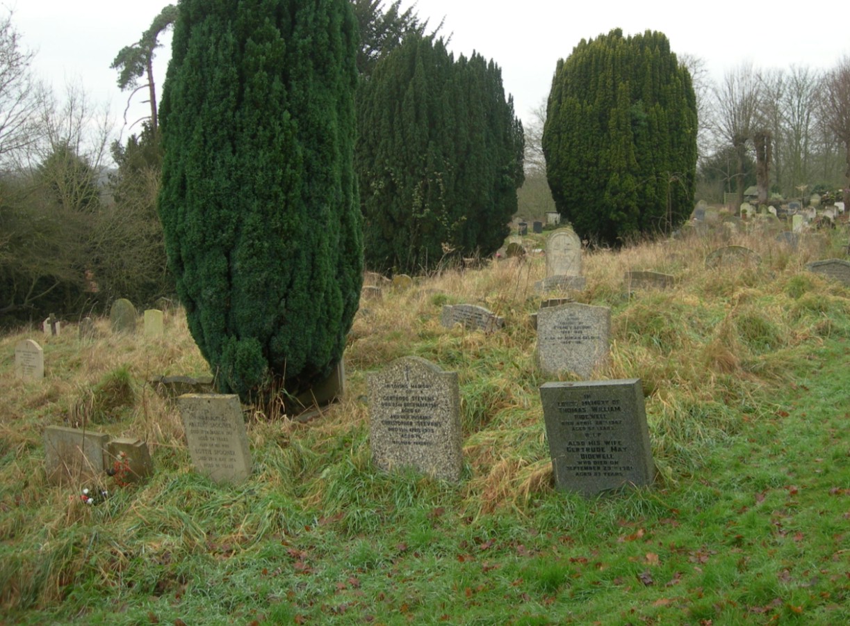 click image to return