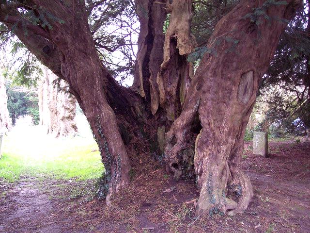 St. Michaels church, Northchapel