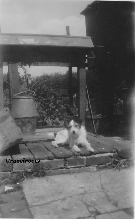 Old photos of Petworth - click to return