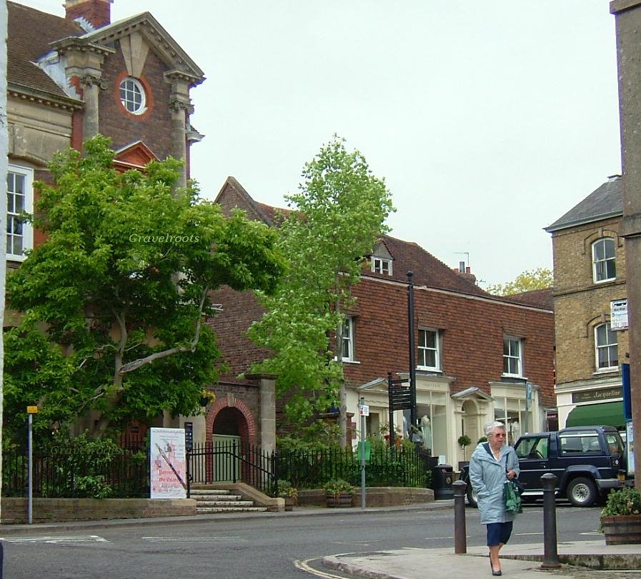 click image to return