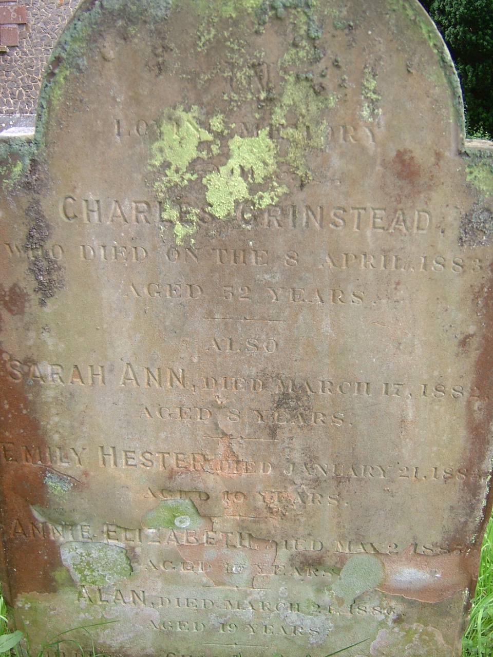 click image to return