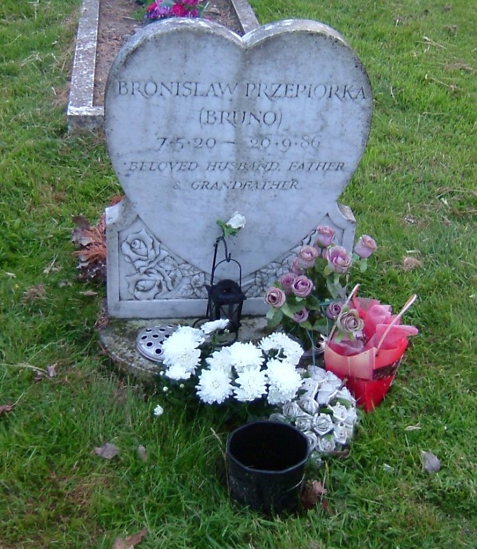 click image to return