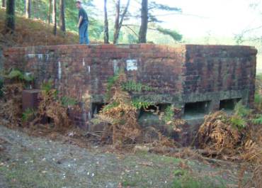Northchapel youngster, Harley Howick, takes an interest
and gives scale the structure