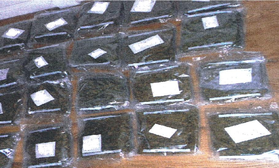 Up to £180,000 of cannabis found in home in Crawley