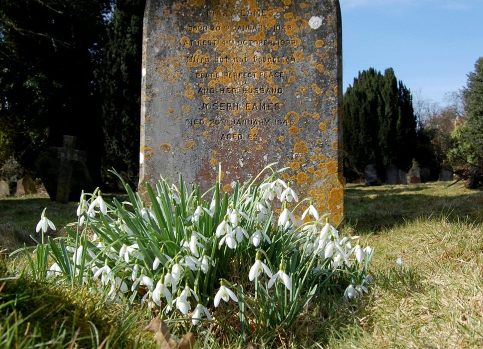 click for full photo